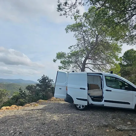 Ebusus2025 Ibiza Town